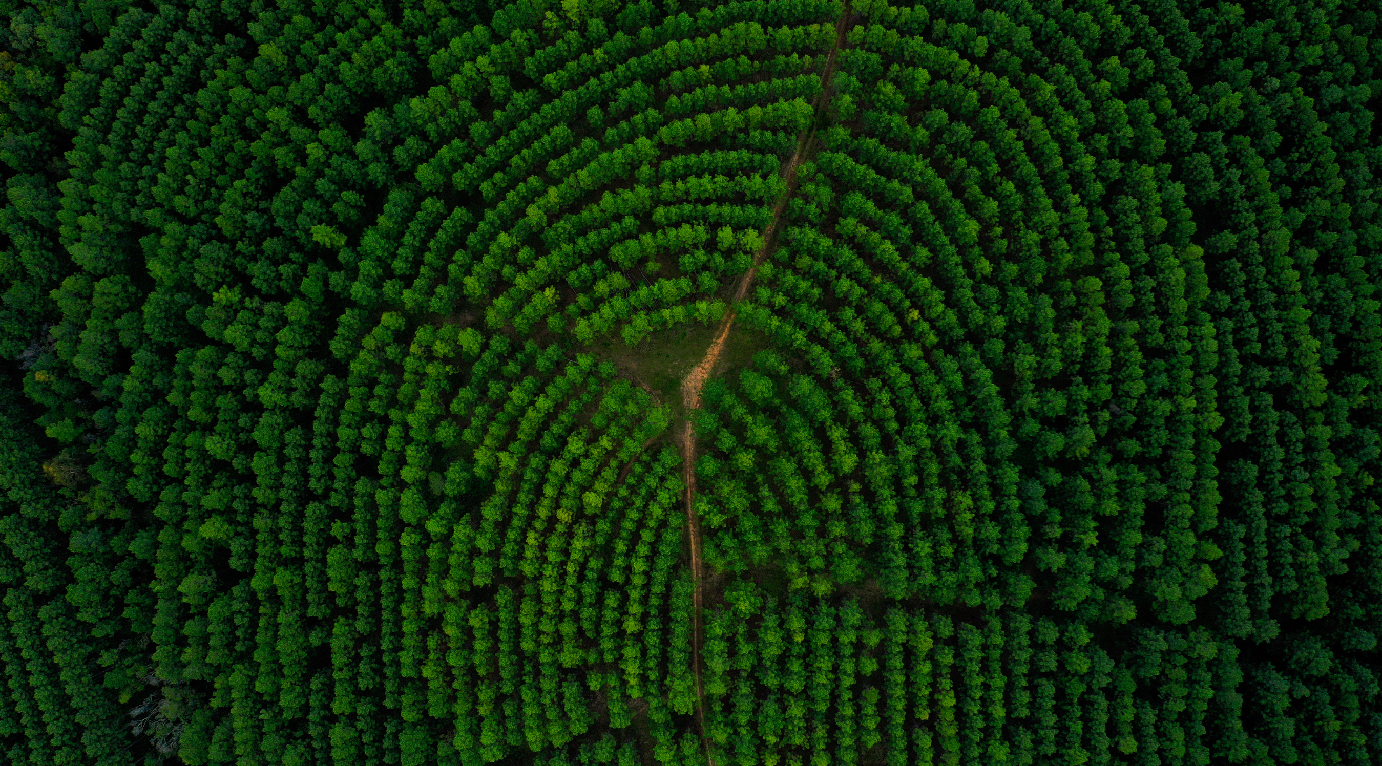 parallax